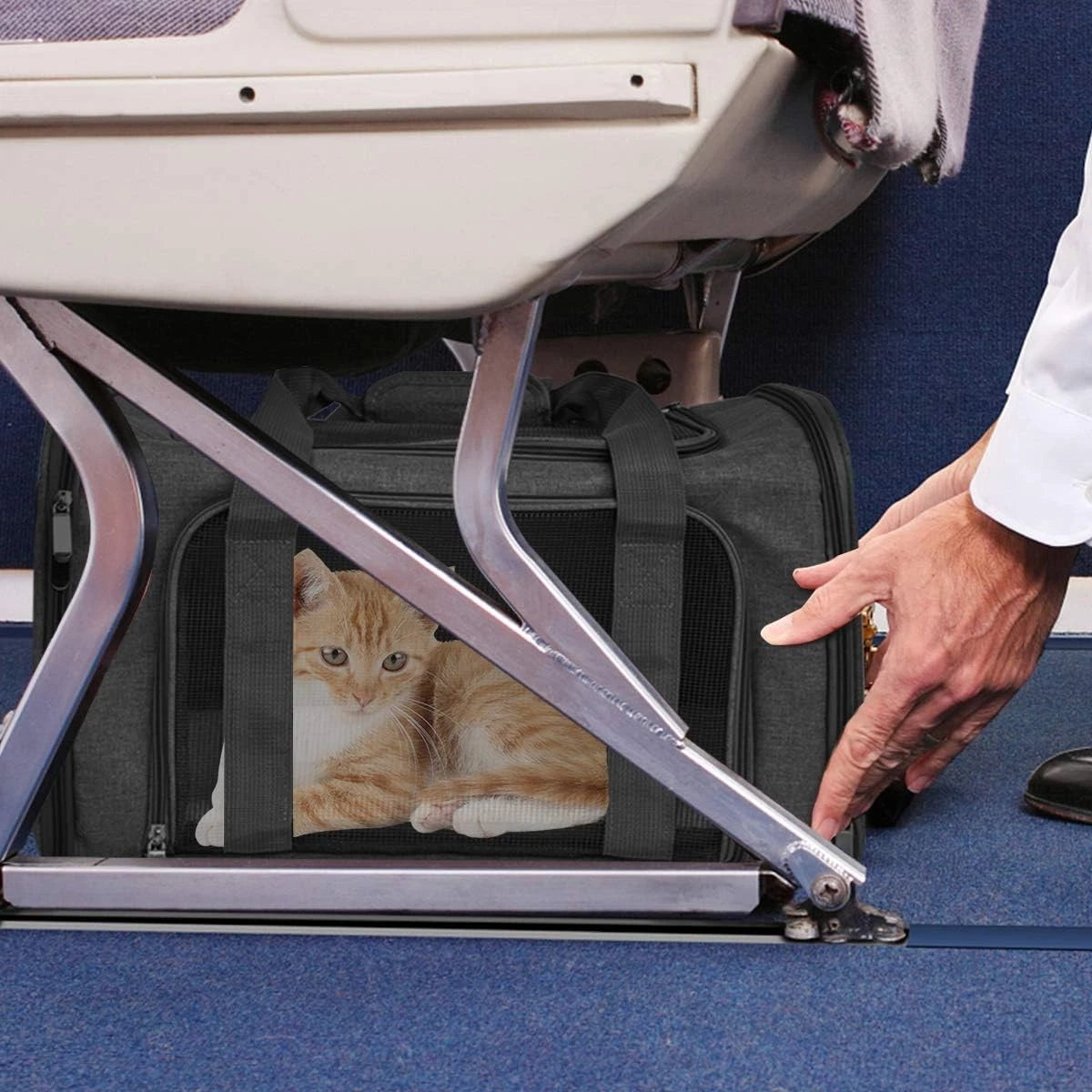 Medium Soft Pet Carrier Bag for Cats & Small Dogs – Foldable Travel Carrier
